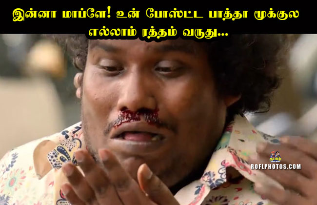 Tamil Comedy Memes Status Comments Memes Images Status Comments Comedy Memes Download Tamil Funny Images With Dialogues Tamil Photo Comments Download Tamil Comedy Images With Commants Tamil Tamil funny photo comment is a fun application which has more than 1000 funny reactions and photo comments of many comedy actors and heroes. tamil comedy memes status comments memes images status comments comedy memes download tamil funny images with dialogues tamil photo comments download tamil comedy images with commants tamil dialogues with images roflphotos com rofl